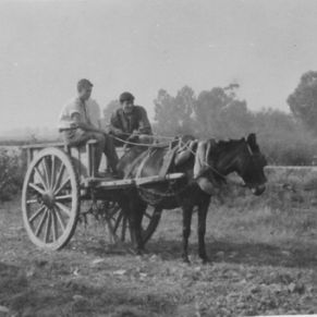 Castillo_y_Dominguito