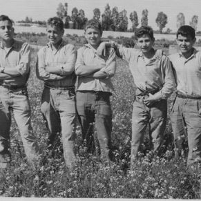 Serrato...._Mrquez_Lozano